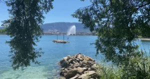 Panoramic view of Geneva's water fountain framed by vegetation, with Lake Geneva and the Salève mountains